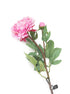 Artificial 80cm Single Stem Pink Peony